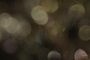 Video production for websites