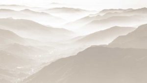 Web Marketing Companies Wilmington NC