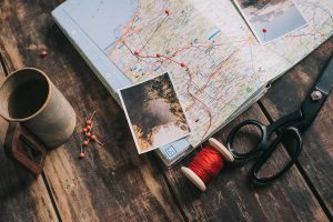 Search Optmization Plan