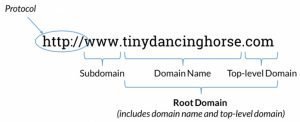 Moz's Domain Infograph