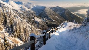 winter wonderland 2