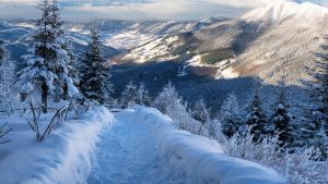 winter wonderland 3