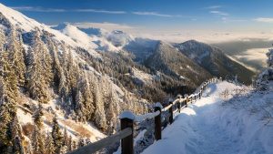 winter wonderland