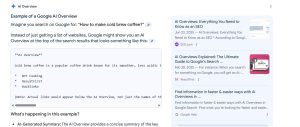 AI overview Example Screenshot